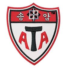 ATA PATCH